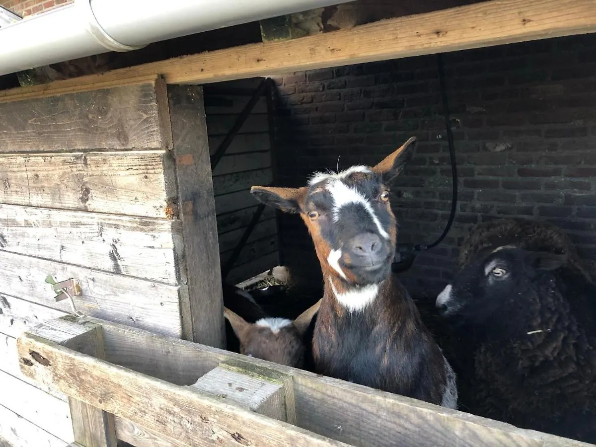 Hoeve de Binnenplaets Schimmert